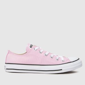 Converse all star ox trainers in pale pink
