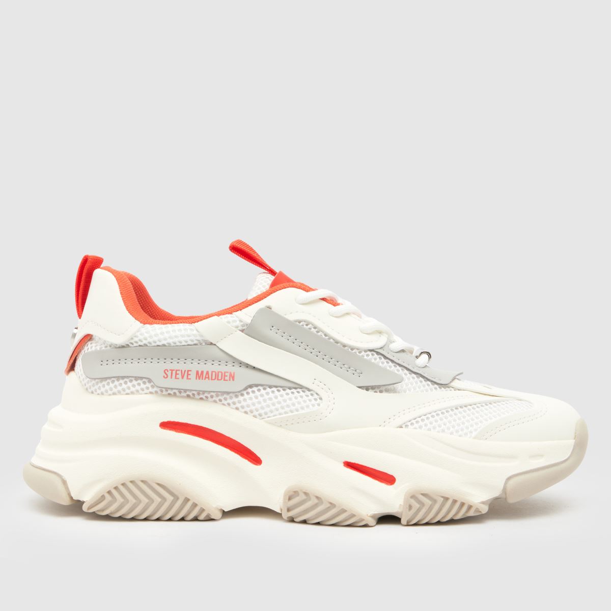 Steve Madden possession trainers in white