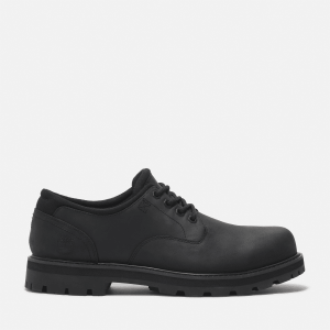 Timberland - Britton Road Lace-Up Waterproof Shoe for Men in Black, Man, Black, Size: 12.5