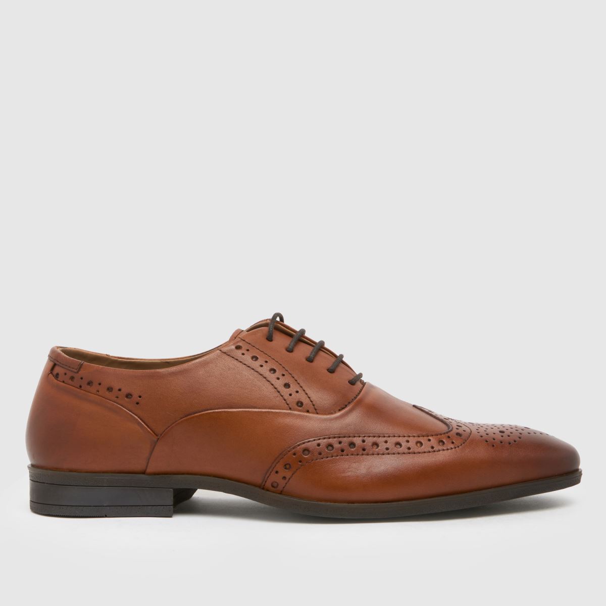 schuh row leather brogue shoes in tan