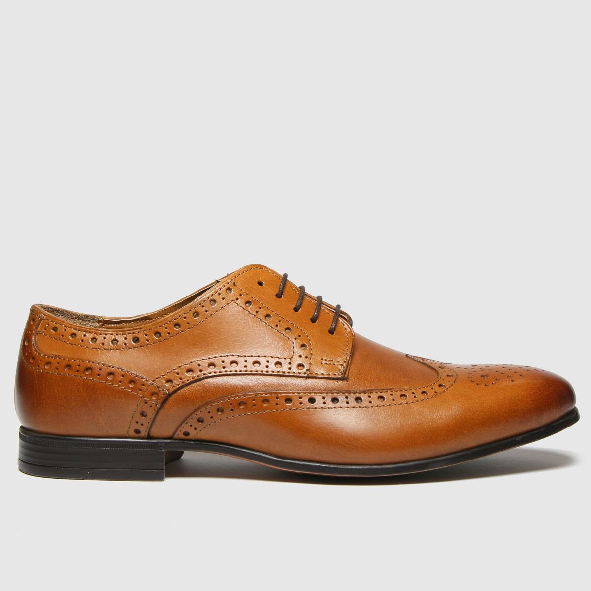 schuh rowen leather brogue shoes in tan