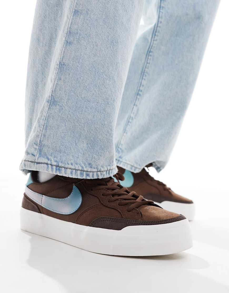 Nike SB Zoom Pogo Plus trainers in brown and blue