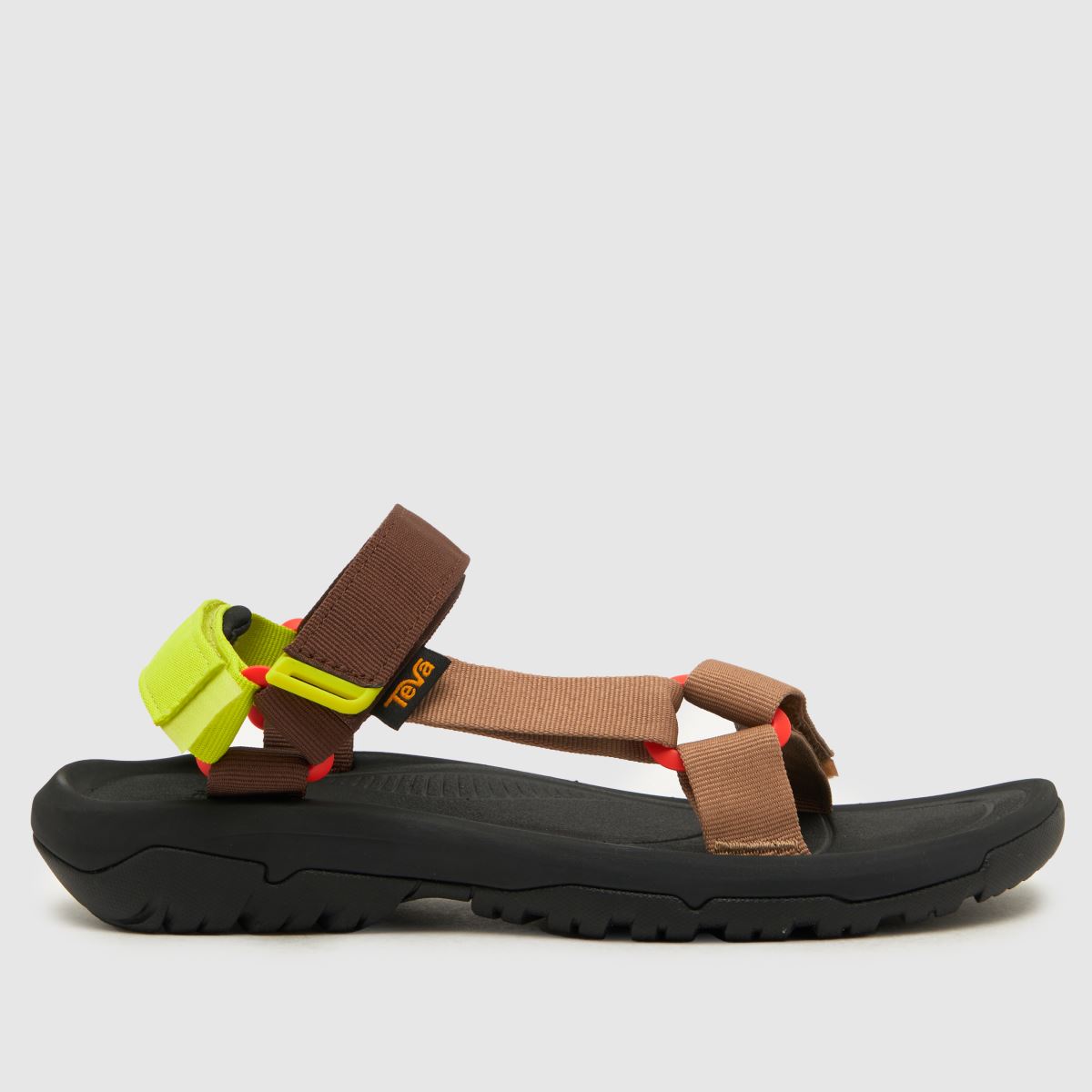 Teva hurricane xlt2 sandals in brown multi