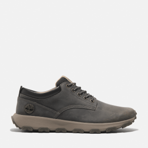 Timberland - Winsor Park Low Lace-Up Trainer for Men in Grey, Man, Grey, Size: 6.5