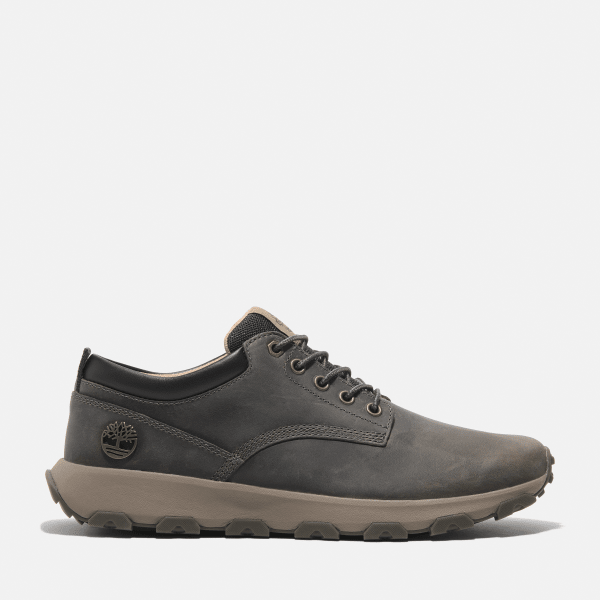 Timberland - Winsor Park Low Lace-Up Trainer for Men in Grey, Man, Grey, Size: 6.5